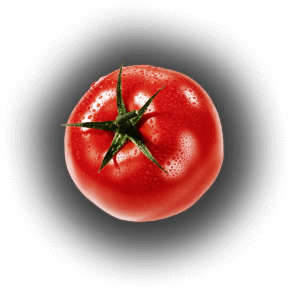 Food Ordering Mobile Application Development