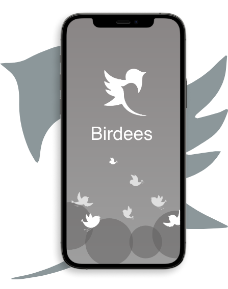 Dating Application for a USA-based Client