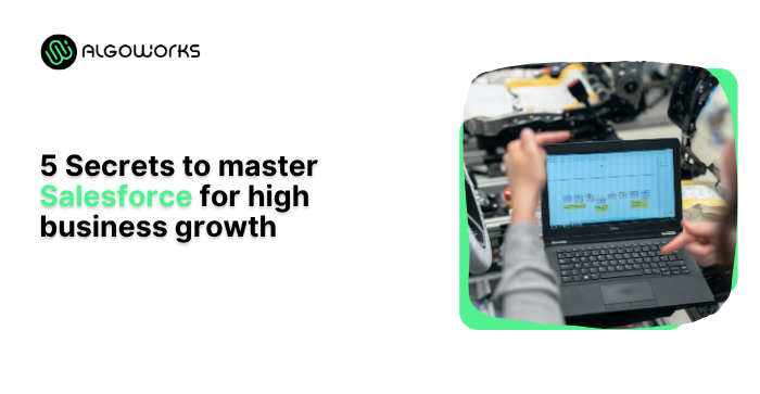 5 Secrets to master Salesforce for high business growth