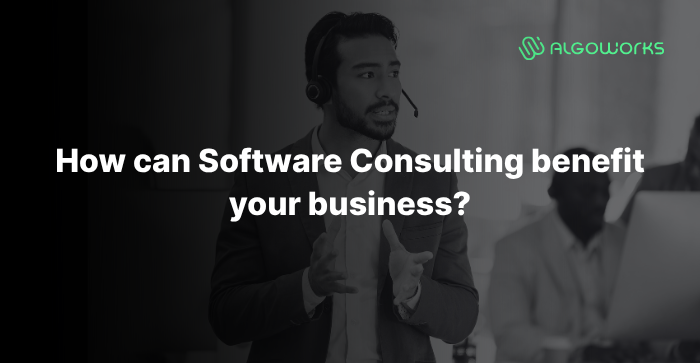 How Can Software Consulting Company Benefit