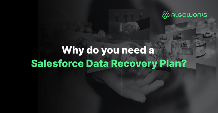 Need of Salesforce data recovery plan