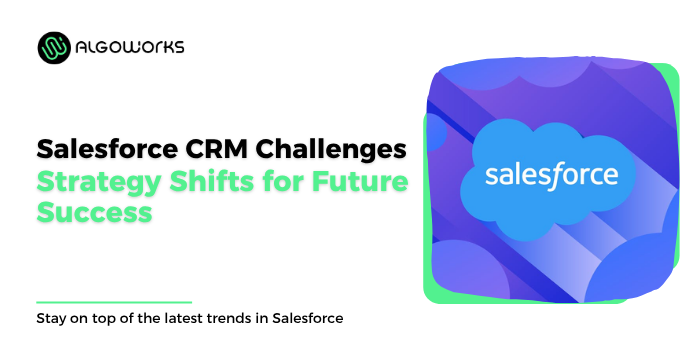 Salesforce CRM Challenges