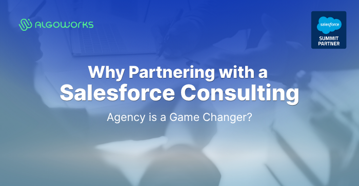 Why Partnering with a Salesforce Consulting Agency is a Game Changer
