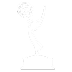 The Emmy Awards – The N Video Mash-Up